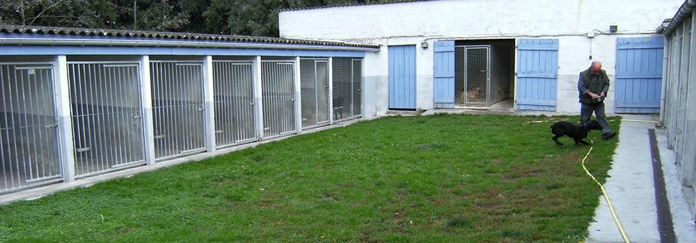 Box pour chien de la pension